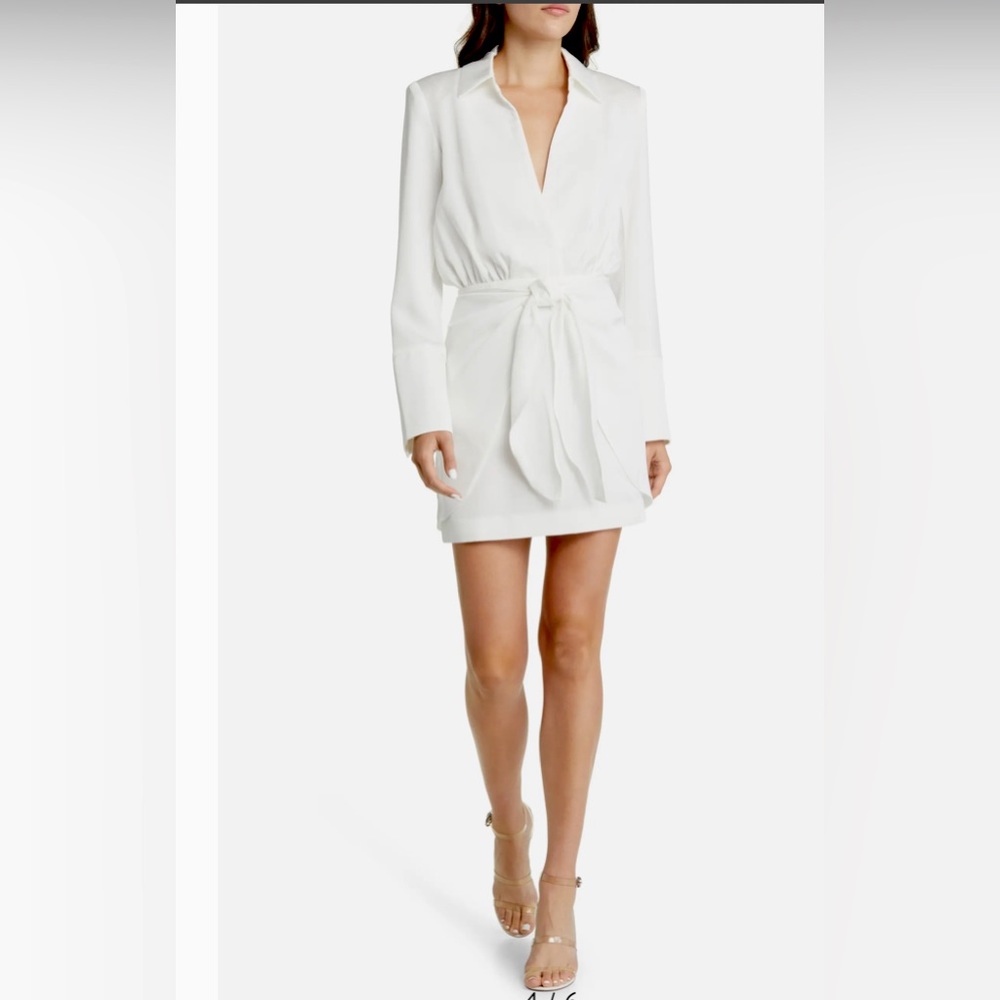 Misha Reidun Draped Bodycon Mini Dress